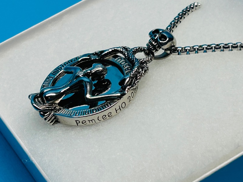 Photo 1 of 165773…Nosee pendant on 20” chain in gift box