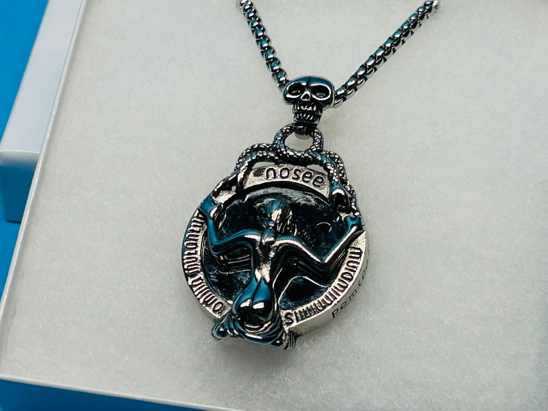 Photo 1 of 165773…Nosee pendant on 20” chain in gift box