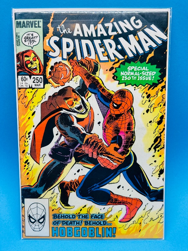Photo 1 of 165795…vintage Spider-Man comic #250 in plastic sleeve