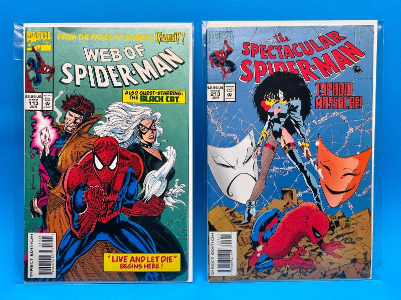 Photo 1 of 166113…2 Spider-Man comics in plastic sleeves 