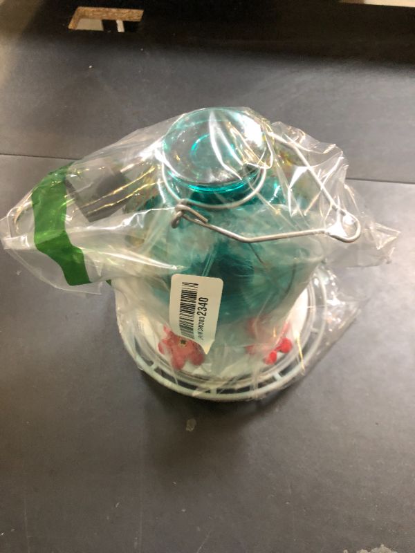 Photo 1 of Hummingbird Feeder, BOLITE Glass Hummingbird Feeders for Outdoors Hanging, Hand Blown, with Ant Moat and Five Feeding Ports, Meshy Texture Ball Shape Bottle, 20 Ounces, Blue, Gifts for Women Men
