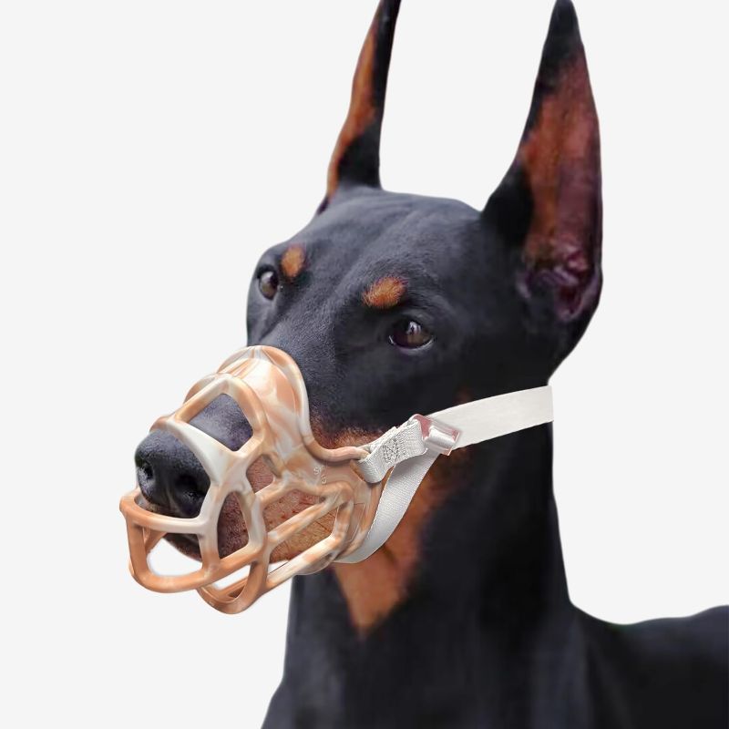 Photo 1 of Basket Muzzle for Small to Large Dogs - Allows Panting & Drinking, Ideal for Grooming & Training (Orenge, Size 4)