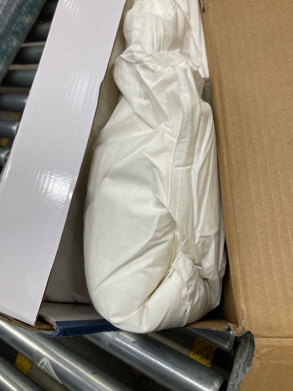 Photo 1 of AiAngu Canadian Luxury Goose Down Pillow Queen Size, 750 Fill Power, 100% Cotton with Teflon Shell- Ultra Comfort Sleep Pillows - Bed Pillows for Back, Stomach, Side Sleeper(White,Standard(Pack of 2))