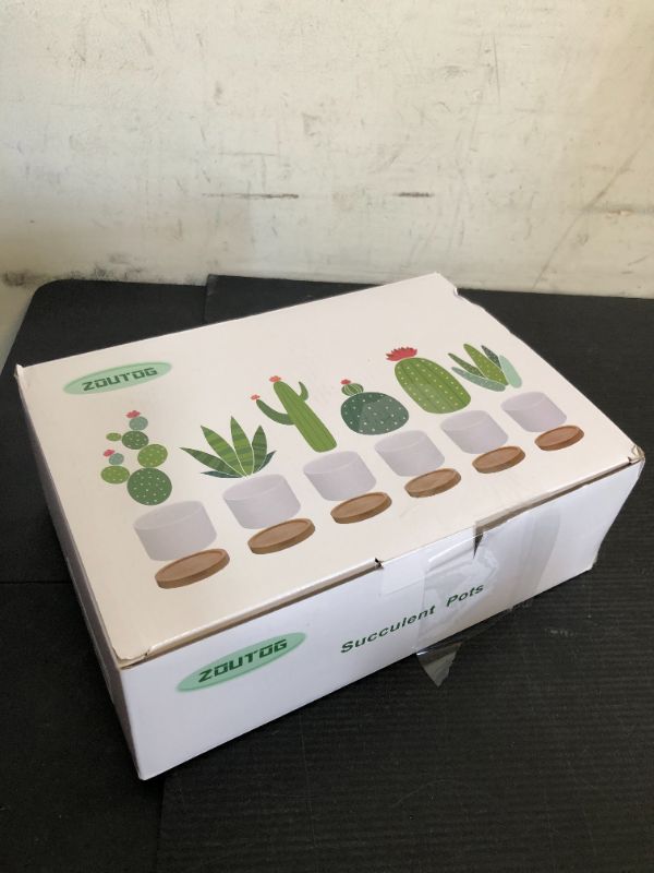 Photo 1 of ZOUTOG Succulent Pots 3.1 Inch,6 Pack Succulent Planters,Small Pots for Plants with Drainage and Tray,White Ceramic Flower Planters for Indoor Plants,Home,Office,Desk