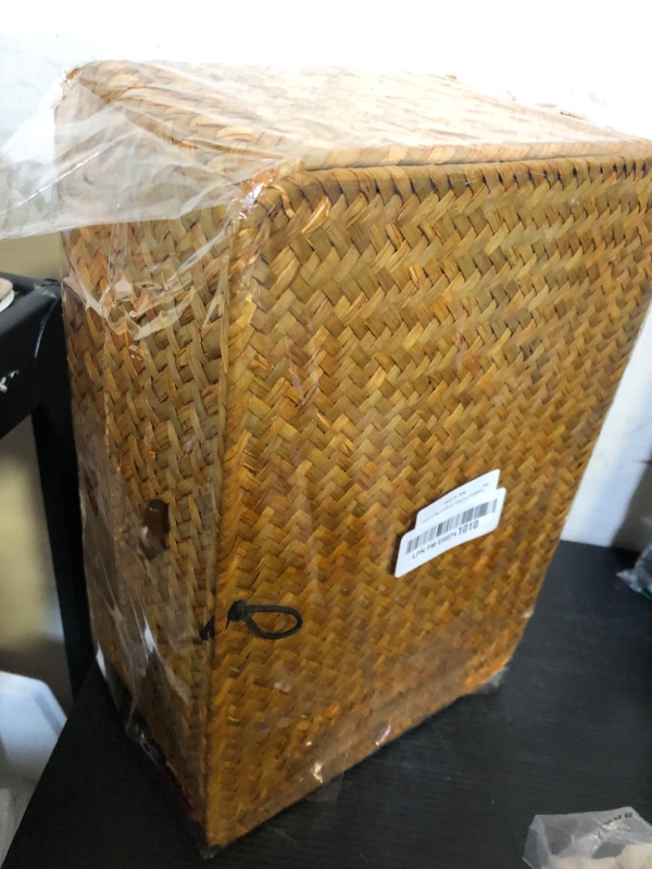 Photo 1 of FEIALNDUO Wicker Shelf Baskets with Lid,Seagrass Storage Basket Bins Rectangular Handwoven Basket Boxes for Shelves Desktop Home Organizer (Natural, Large)