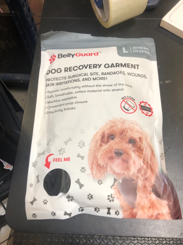 Photo 1 of BellyGuard Recovery Suit for Dogs, Comfy Dog Surgery Suit, Female Spay and Male Neuter Onesie for Post-Op Care