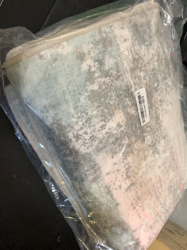 Photo 1 of BEIMO Area Rugs 5x7 for Living Room Bedroom, Modern Abstract Machine Washable Large Light Green Rug Soft Rug, Low Pile Floor Carpet with Non Slip Backing for Dining Room