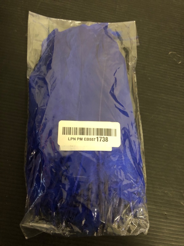 Photo 1 of THARAHT 120pcs Royal BlueFeathers Natural Bulk 6-8 inch 15-20cm for Crafts DIY Cosplay Wedding Party Halloween Decoration Goose Nagoire Feathers
