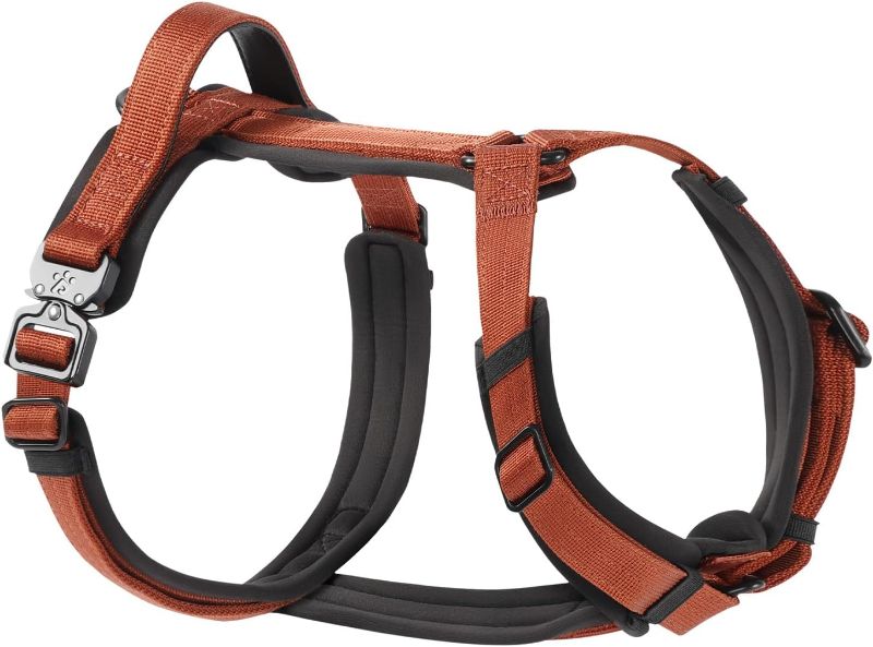 Photo 1 of PawsPassion Dog Harness for Small Dogs, Chew-Proof Metal Hardware, Easy Walk Dog Harness, Ergonomic Y-Shaped Design, Soft Padding, Padded Handle, Durable High-Tensile Nylon (Canyon Red, S)
