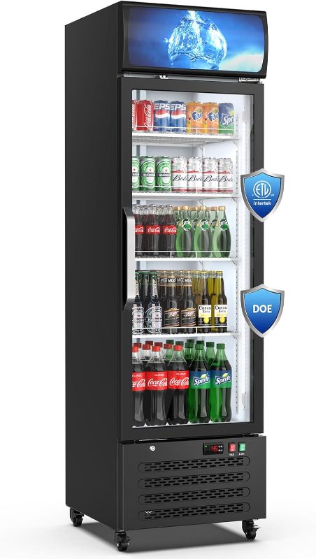 Photo 1 of 14.8 Cu Ft ETL & DOE Certified Commercial Merchandiser Refrigerator for Beverage,Glass Door Upright Display Fridge with Front LED Light,Large Freestanding Business Cooler for Shop,Restaurant,etc
