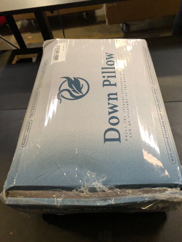Photo 1 of Canadian White Goose Down Pillow King Size,1050+ Fill Power Soft Side Sleeper Pillow for Sleeping Neck Pain Relief,100% Cotton Shell 600 Thread Count Bed White Hotel Quality Fluffy Pillows