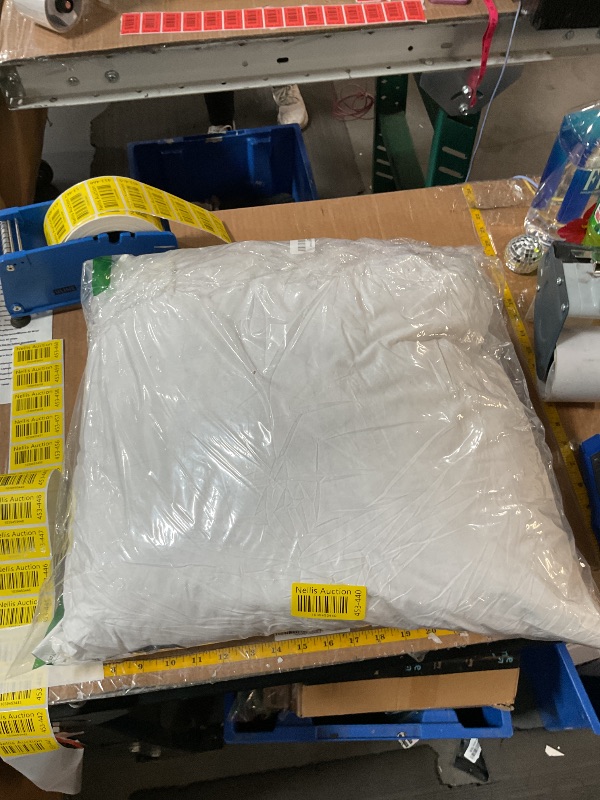 Photo 1 of **ONE PILLOW IS FACTORY SEALED** basic home 20x20 Decorative Throw Pillow Inserts-Down Feather Pillow Inserts-Square-Cotton Fabric-Set of 2-White.