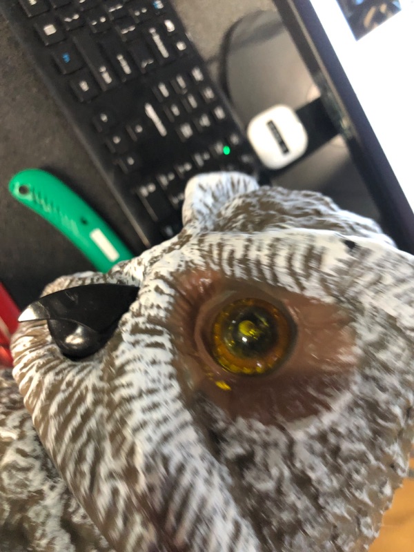 Photo 1 of Ugold Solar Powered Owl with Motion Detection, Silent Mode, Flashing Eyes, Rotatable Head and Realistic Hoots, Plastic Owl Decoration for Home, Garden, Patio and Fence