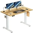 Photo 1 of edx Electric Standing Desk, Height Adjustable Desk, 48 x 24 Inches Ergonomic Stand up Desk with Memory Preset for Home Office, Natural