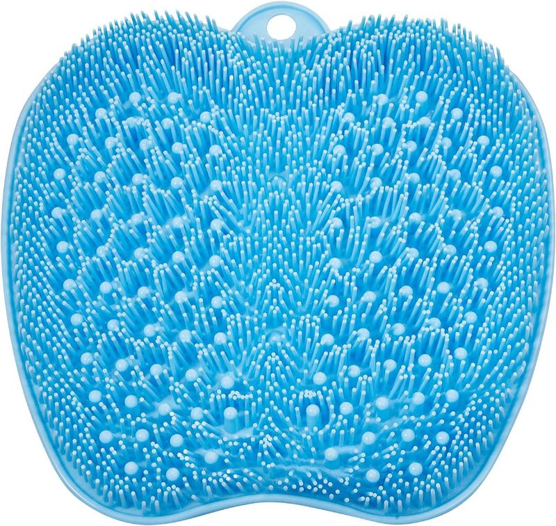 Photo 1 of  Larger Foot Scrubber Mat 