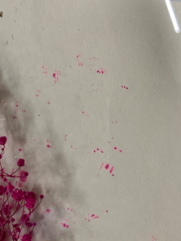 Photo 1 of ***(MINOR DAMAGE -SELLING AS IS)*** Madison Park Wall Art Living Room Décor - Sundried Natural Flowers in Shadowbox Frame, Floral Home Accent, Bedroom Decoration, Ready to Hang, 12" W x 24" H x 1.25" D, Multi 2 Piece