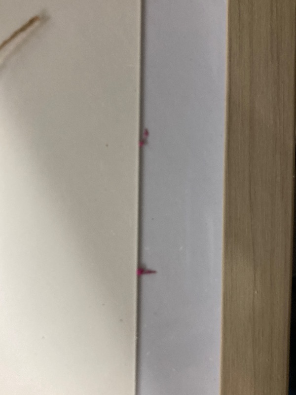 Photo 1 of ***(MINOR DAMAGE -SELLING AS IS)*** Madison Park Wall Art Living Room Décor - Sundried Natural Flowers in Shadowbox Frame, Floral Home Accent, Bedroom Decoration, Ready to Hang, 12" W x 24" H x 1.25" D, Multi 2 Piece