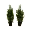 Photo 1 of **MISSING POTS**Nearly Natural 2ft. Artificial Cedar Pine Tree UV Resistant (Indoor/Outdoor) - Set of 2
