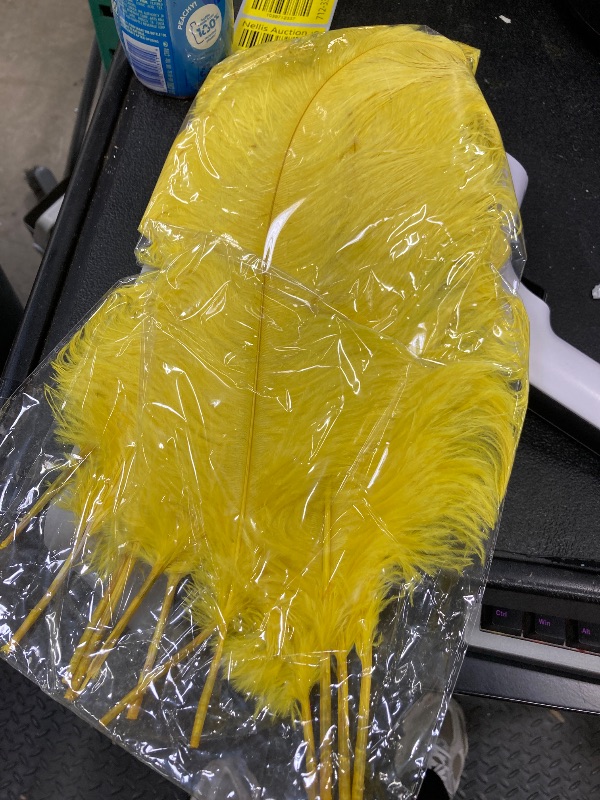 Photo 1 of 12 Pcs Large Natural Ostrich Feathers Bulk 16-18 Inch for Centerpieces for Wedding Party Centerpieces Home Decoration Flower Arrangement (Yellow)