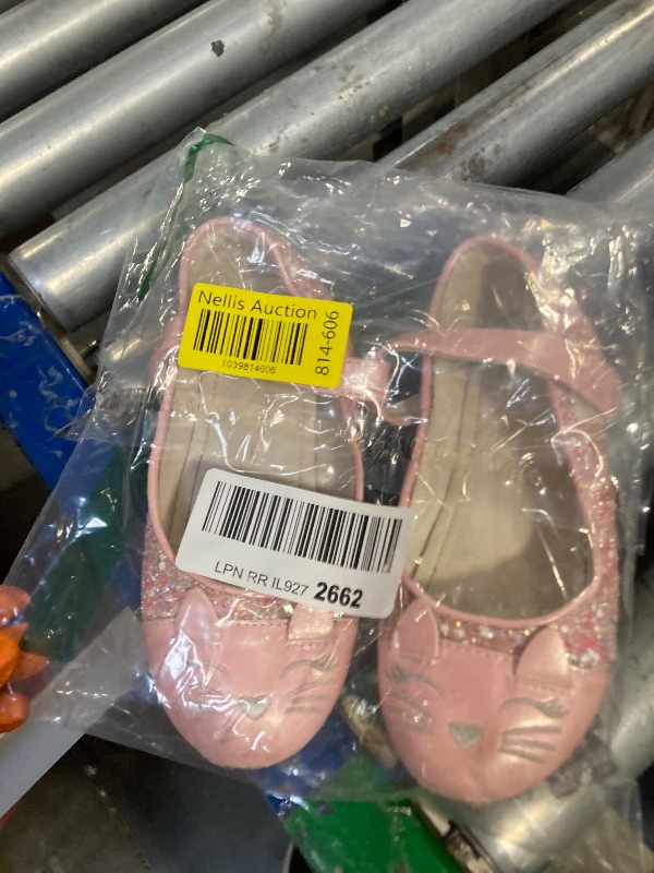Photo 1 of ** VERY USED**Funny Cat Glitter Princess Ballet Flats for Girls, Mary Jane Shoes Dress Shoes for Girl Back to School Princess Wedding (Toddler/Little Kid/Big Kids) SIZE 30