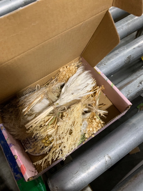 Photo 1 of 12 Pack Dried Flower Bouquet Mini Natural Pampas Grass for Crafts Small Dried Embossing Florat with Stem Boho Artificial Arrangement Wedding Derco Flowers Bundles for Vases, Wedding, Home, Party