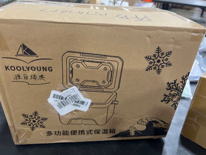 Photo 1 of 6L  Camping cooler 