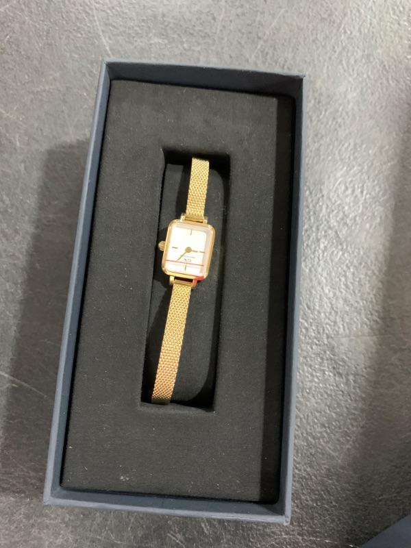 Photo 1 of Daniel Wellington Quadro Mini Women’s Watch – 15.4x18.2mm Square Case, Japanese Quartz Movement, Stainless Steel Mesh Strap, Water Resistant, Gold Watch for Women