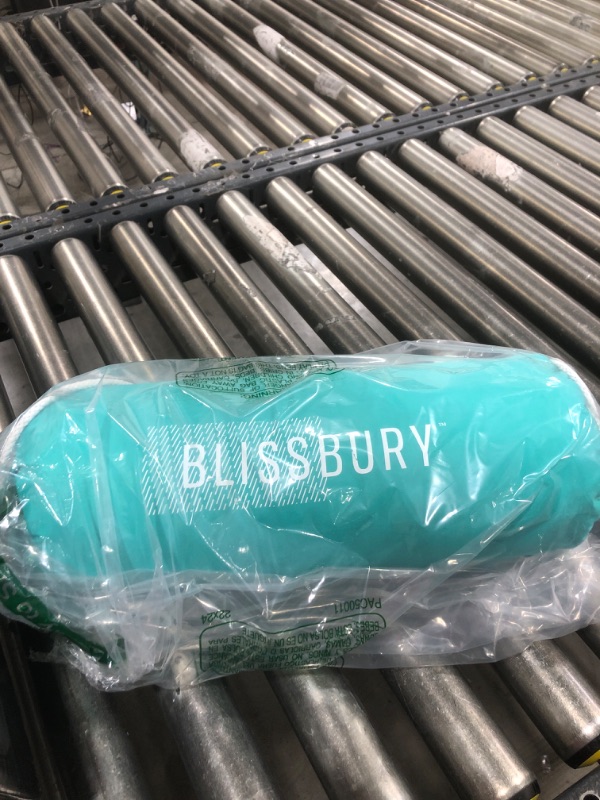 Photo 1 of BLISSBURY Stomach Sleeping Pillow - Flat Pillows for Sleeping | Thin Memory Foam Pillow for Stomach Sleepers | Ultra Thin Pillow for Sleeping | Slim Pillow, Stomach Sleeper Pillow | 2.6 Inch Thickness
