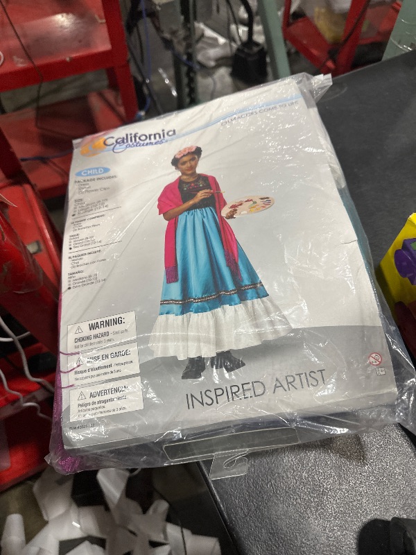 Photo 1 of California Costumes Inspired Artist Child Costume XL size 12-14