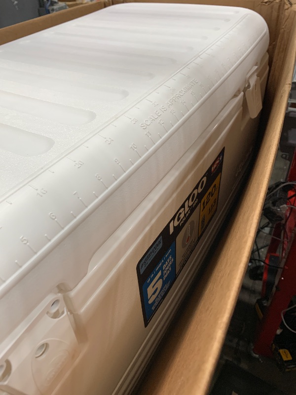 Photo 1 of Igloo Polar 120 Qt. Cooler