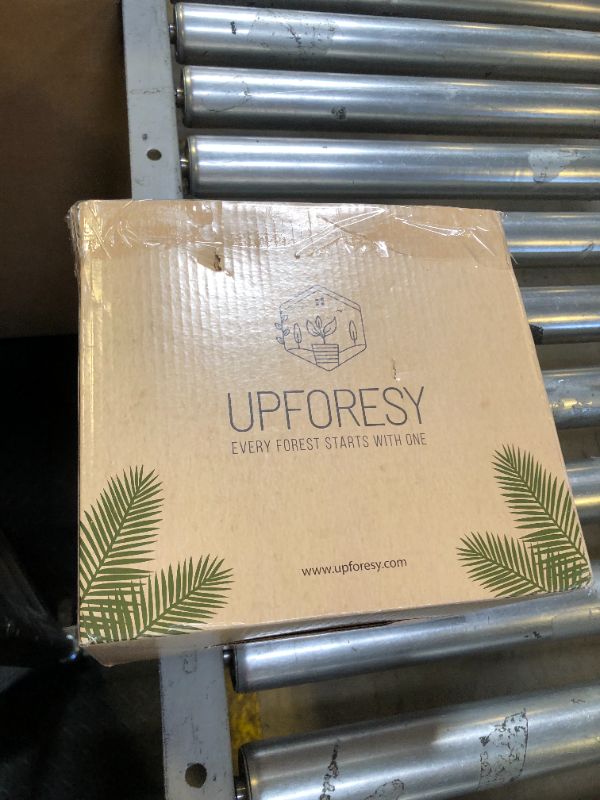 Photo 1 of Upforesy 6 Pack Terracotta Watering Spikes for Indoor and Outdoor Plants - Simple and Easy Setup - Keep Plants Happy and Watered While You are Away
