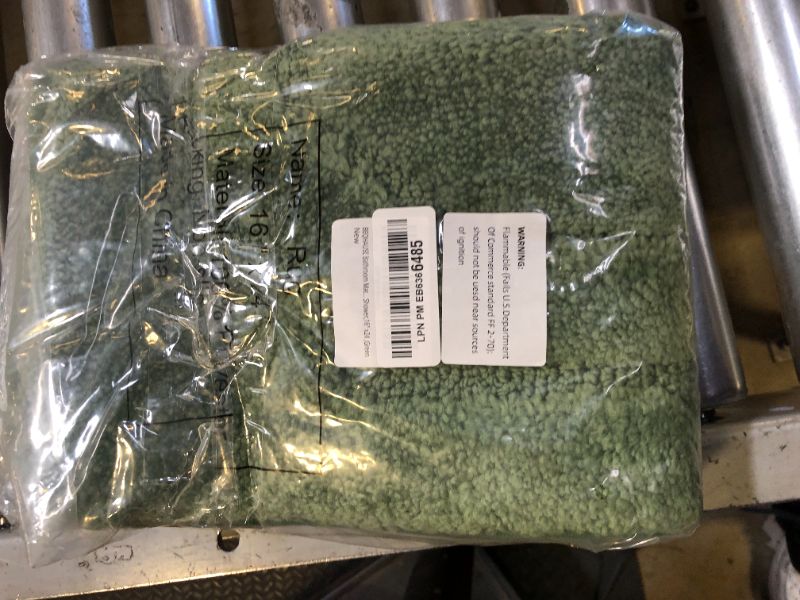 Photo 1 of BEQHAUSE Bath Rugs Non-Slip Bath Mats for Bathroom, Soft and Absorbent Polyester Bath Mat Machine Washable Quick Dry Shaggy Shower Mat for Bathtub and Sink, 16" x 24", Green