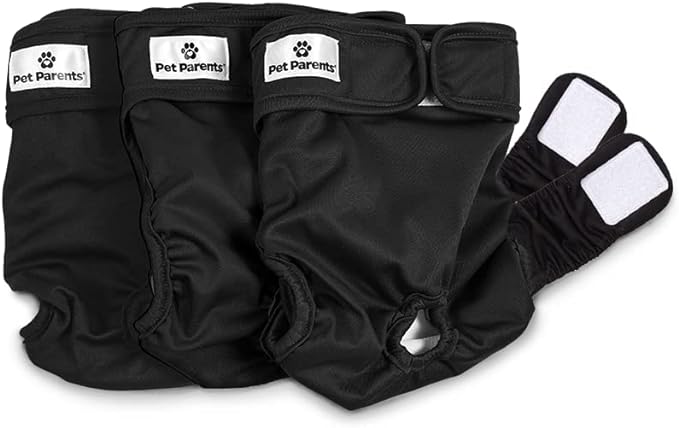 Photo 1 of Pet Parents® Washable Dog Diapers (3pack) + Extendrs® of Durable Doggie Diapers, Premium Dog Diapers Female & Male (Medium, Black)