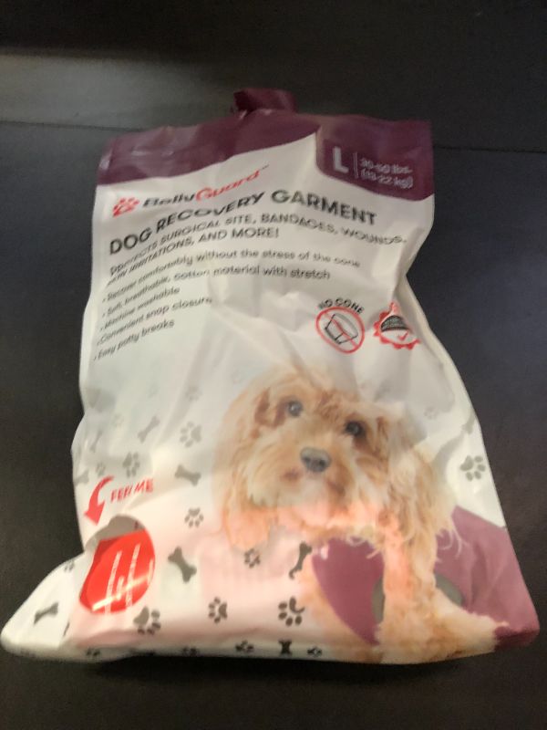 Photo 1 of BellyGuard Recovery Suit for Dogs, Comfy Dog Surgery Suit, Female Spay and Male Neuter Onesie for Post-Op Care