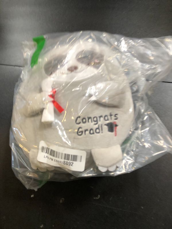 Photo 1 of Blueweenly 8 Inch 2025 Graduation Gifts Sloth Plush Toy Grey Plush Stuffed Animal with Graduation Cap for Class Student College Girls Boys Kindergarten