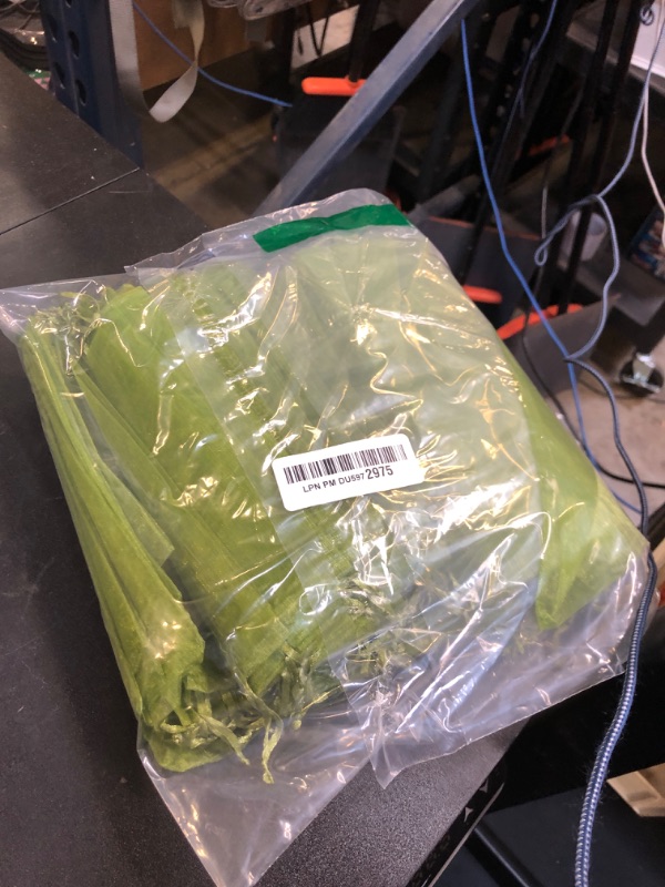 Photo 1 of 100pcs Fruit Protection Bags 6x9 inch, Green Netting Cover Bags Drawstring Mesh Fruit Protectors Pest Barrier for Tomato Mango Trees Veggies Garden