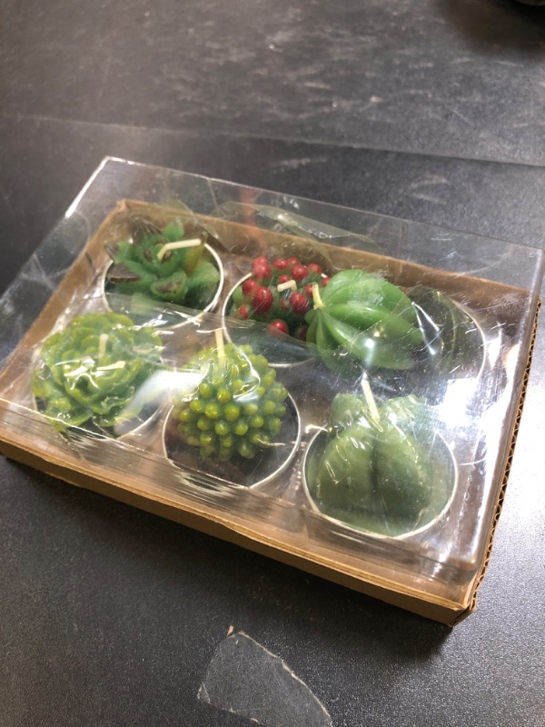 Photo 1 of  6 Pcs Succulent Candles Decorative Cactus 