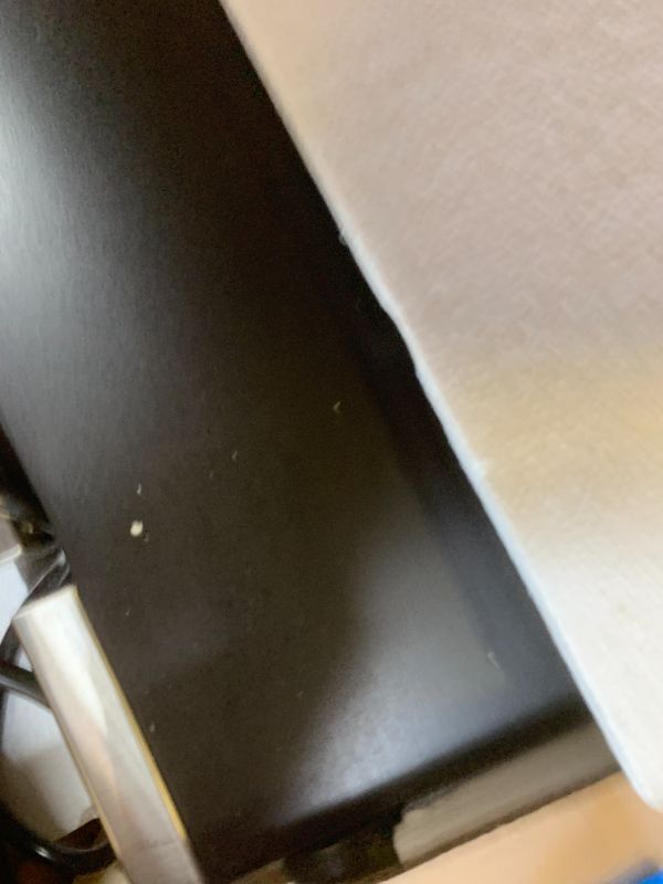 Photo 1 of EdgeStar IB250SS 15 Inch Wide 20 Lb. Built-In Ice Maker with 25 Lbs. Daily Ice Production - No Drain Required