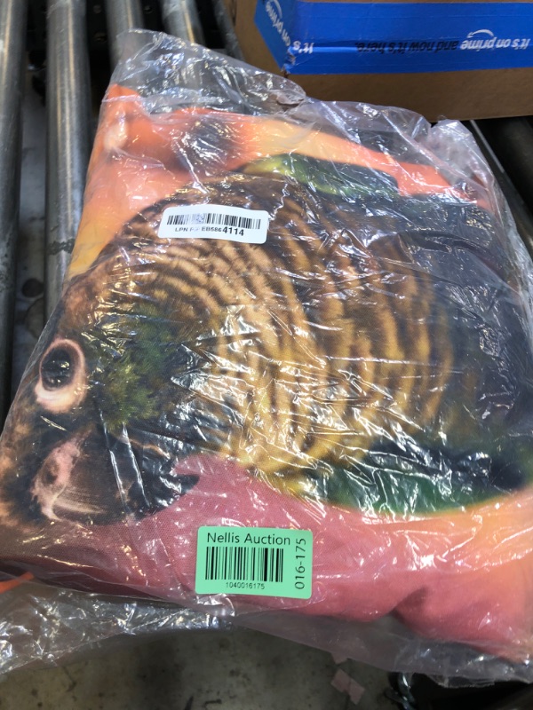 Photo 1 of Green Cheek Conure Throw Pillow