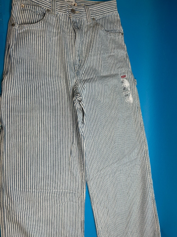 Photo 1 of 025698…Levi’s cinch baggy 29 x 31 jeans  -like new condition 