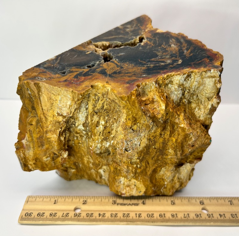 Photo 1 of 025944…6 x 5” petrified wood chunk