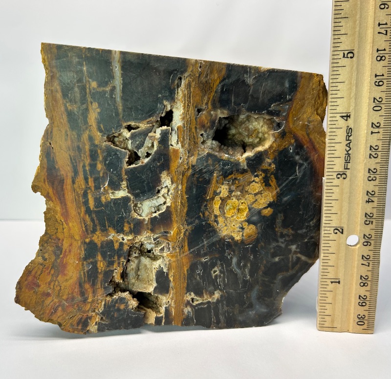 Photo 1 of 025944…6 x 5” petrified wood chunk