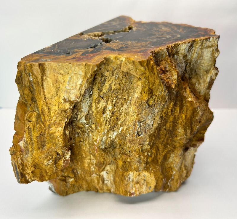 Photo 1 of 025944…6 x 5” petrified wood chunk