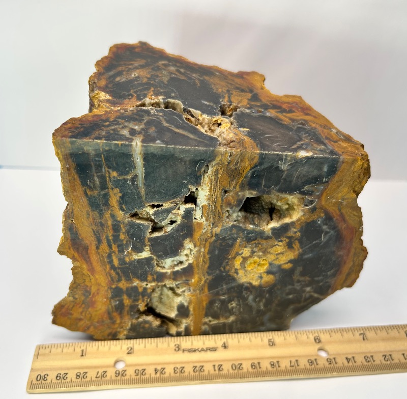 Photo 1 of 025944…6 x 5” petrified wood chunk