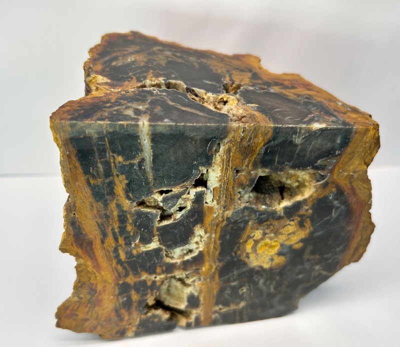 Photo 1 of 025944…6 x 5” petrified wood chunk