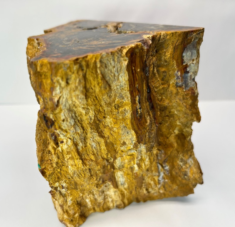 Photo 1 of 025944…6 x 5” petrified wood chunk