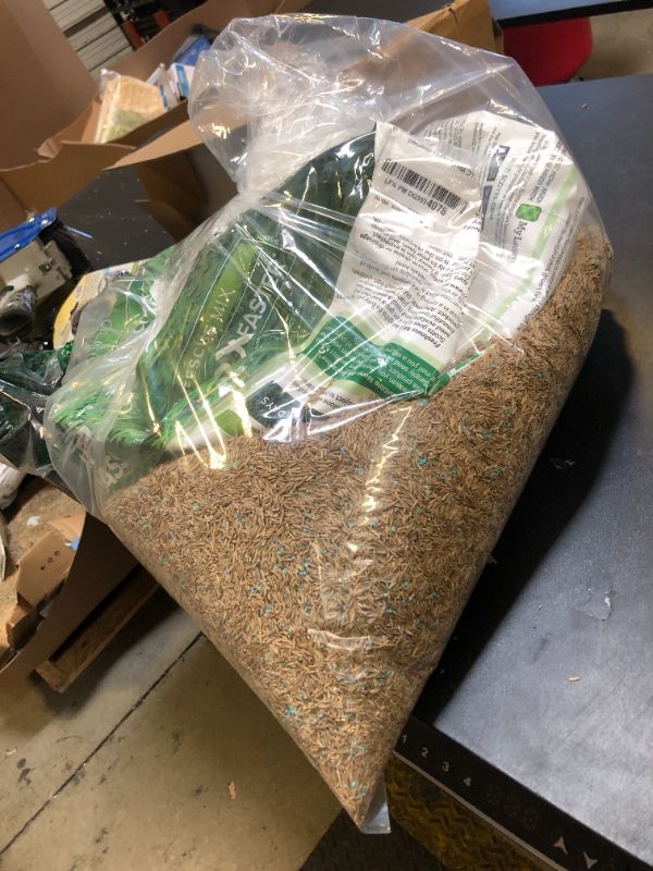 Photo 1 of Scotts Turf Builder Rapid Grass Tall Fescue Mix, Combination Seed and Fertilizer, Grows Green Grass in Just Weeks, For Overseeding and New Lawns, 16 lb.