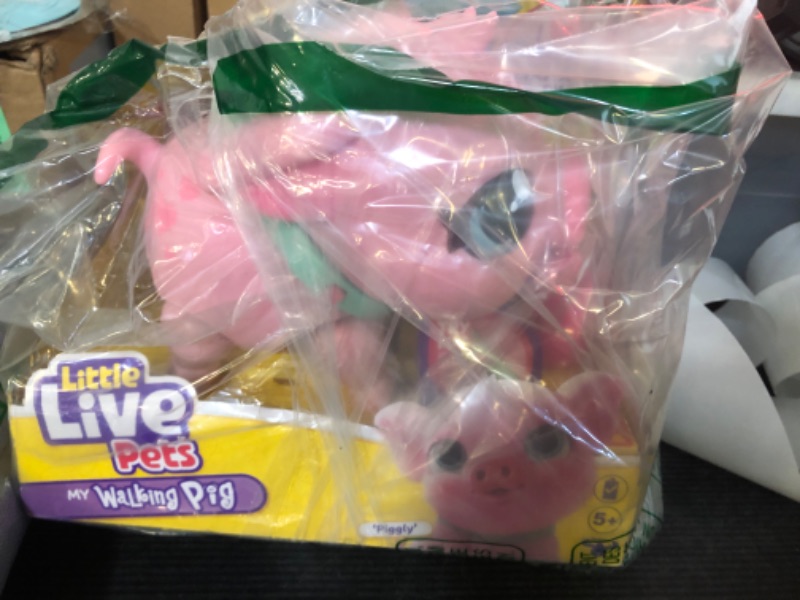 Photo 1 of Little Live Pets My PET Pig S1 Single PK - Piggly