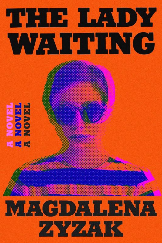 Photo 1 of The Lady Waiting: A Nove