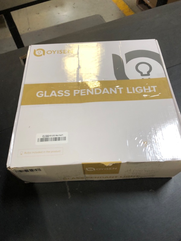 Photo 1 of Oyisen Pendant Lights, 11.8 Inch Hanging Light Adjustable Hanging Lamp Clear Flower Glass Shade Pendant Light Fixture Kitchen Pendant Lights for Bedroom with Light Bulb